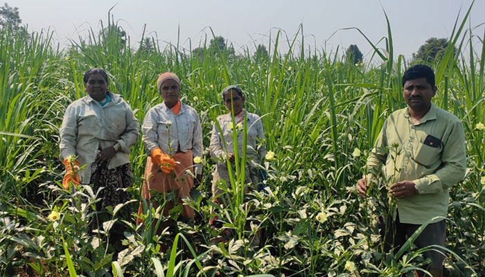 Sustainable is the Way for This Maharashtra Farmer