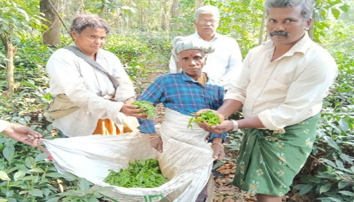 Crafting Their Own Tea Story