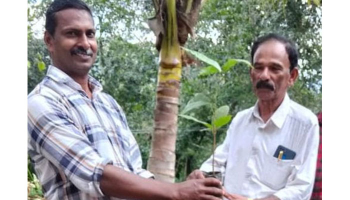 Unnati Initiative Promotes Cocoa and Coffee Intercropping in Rubber Plantations