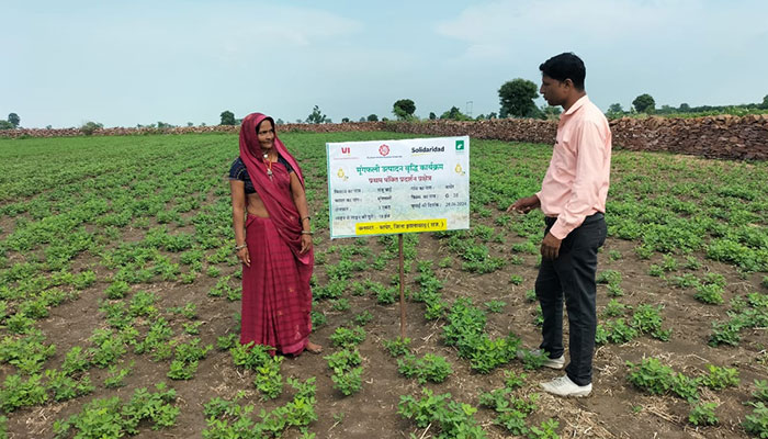 Scaling Up the Groundnut Model Farm Project