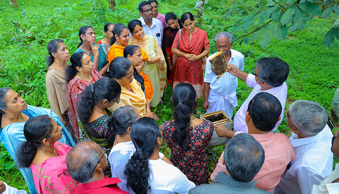 Local Women’s Group in Kerala Supported with Training on Apiculture