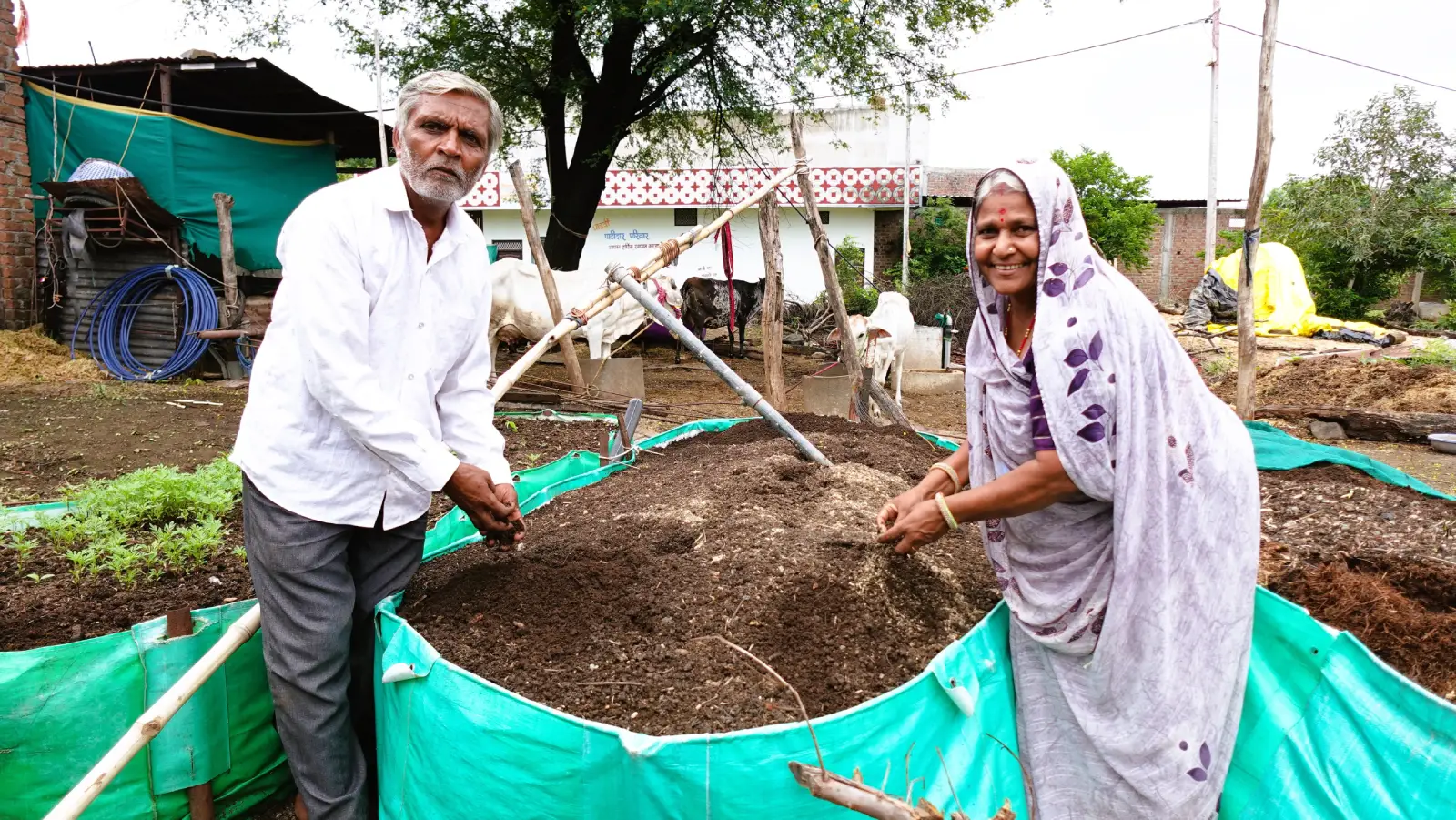 Defying Age, Dayaram and Maya Spearhead an Agricultural Transformation
