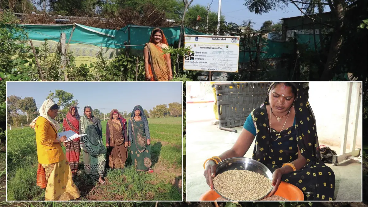 Good Farming–Good Food Programme Bridges the Gap between Agriculture and Nutrition