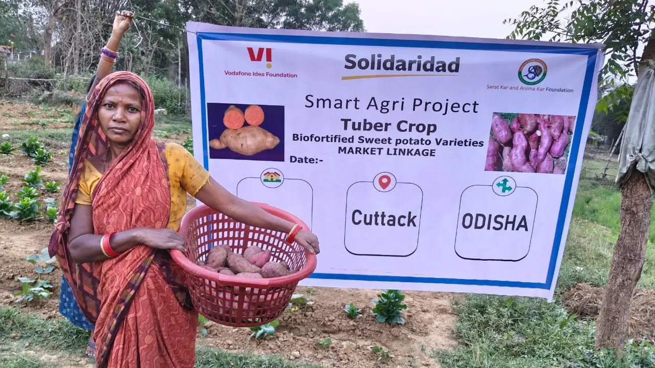 Realizing the potential of tuber crop cultivation