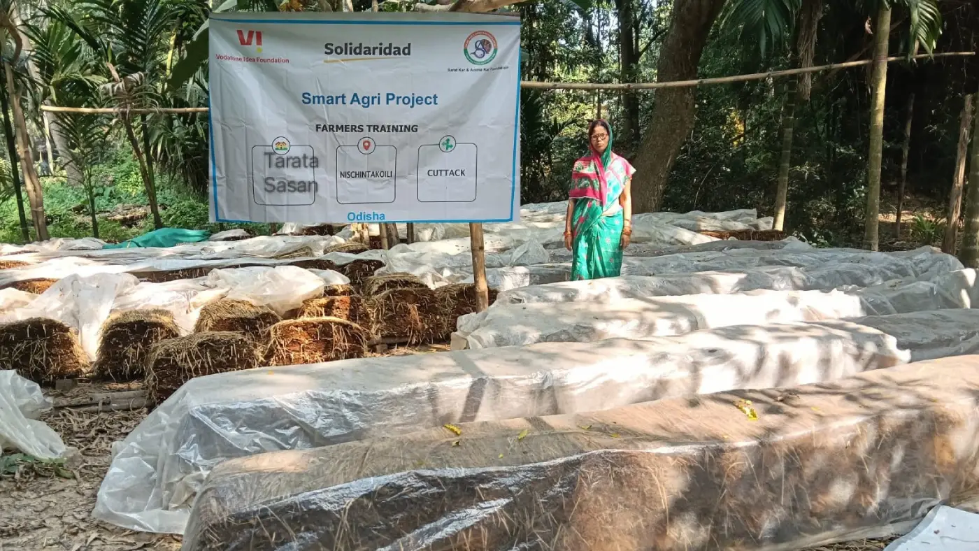 Government Support Emboldens Mushroom Farmers